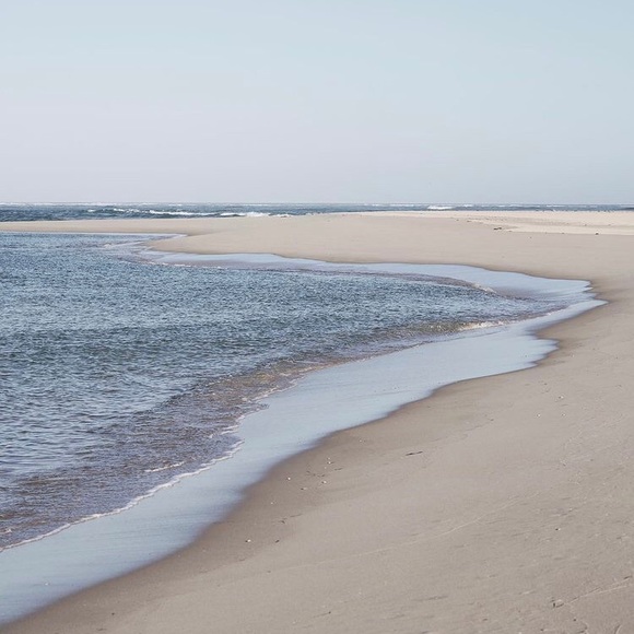 🐾🐾🩵🌊3/23 SHARE GROUP 🌊🩵🐾 - Picture 5 of 17